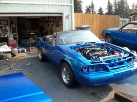 100_6647.webp