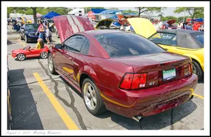 mm6x.webp