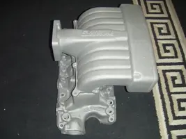 DSCF0351.webp