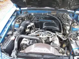 100_6237.webp