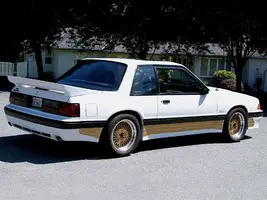 mump_0807_04_z+1988_saleen_mustang+.webp