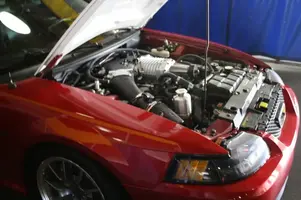 mustang-posttorktech010.webp
