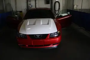 mustang-posttorktech001.webp