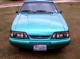 stang003-2.webp