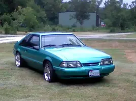 stang001-1.webp