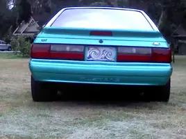 stang007-1.webp
