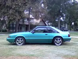stang005.webp