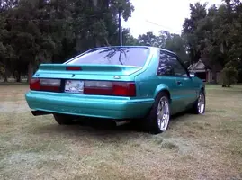 stang008-1-1.webp