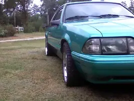 stang002.webp