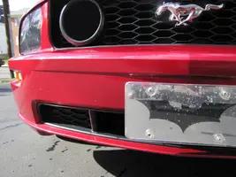 mustang3.webp