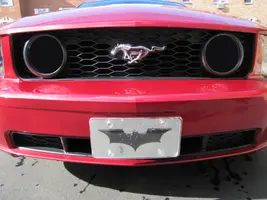 mustang5.webp