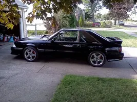 6104304387_1c7eb98ac5.webp