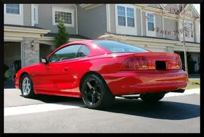 Stang6.webp