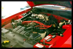 Stang11.webp