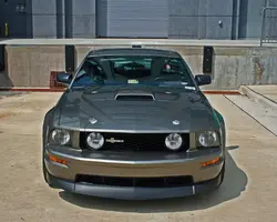 scott16.webp