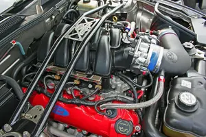 scott25.webp