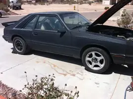 5lug.webp