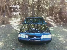 image6.webp