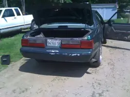 ricer4.webp