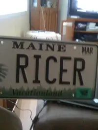 ricer-1.webp