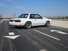 5309802737_11211878c7.webp