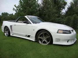 saleen1.webp