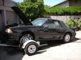 jesse stang (600 x 450).webp