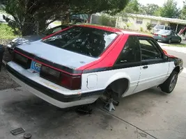 mustang 002.webp