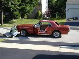 Mustang.webp