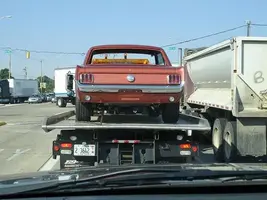 Mustang2.webp