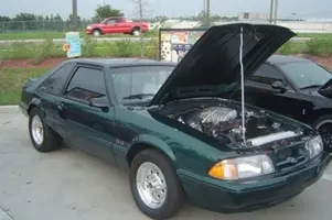 greenstang.webp