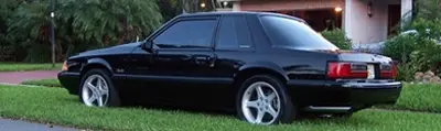Notchback.webp