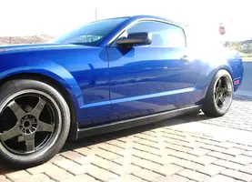 sportmax stang3.webp