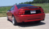 mustang back.gif