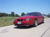mustang front.gif