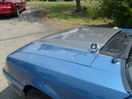 hood detail.webp