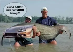 catfish-1.webp