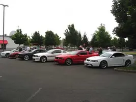eu_stang_b2.webp