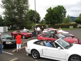 eu_stang_c2.webp