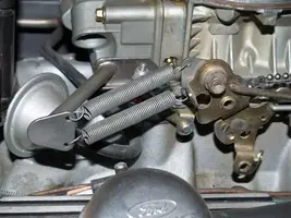 carb 002 (Small).webp