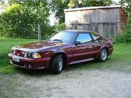 Stang Driver Profile 1.webp