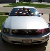 mustang.webp