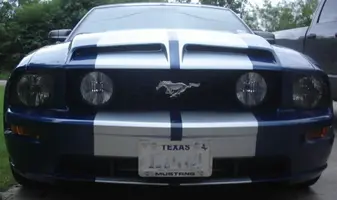 Trufiber_68_gts05pic2.webp