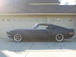 mustang profile.webp
