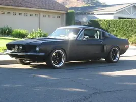 stang.webp