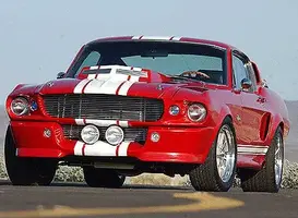ss-2-lg.webp