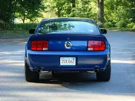 back.webp