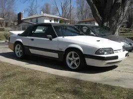 mustang 040 (Small).webp