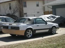 mustang 035 (Small).webp