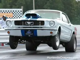 mule buckin.webp